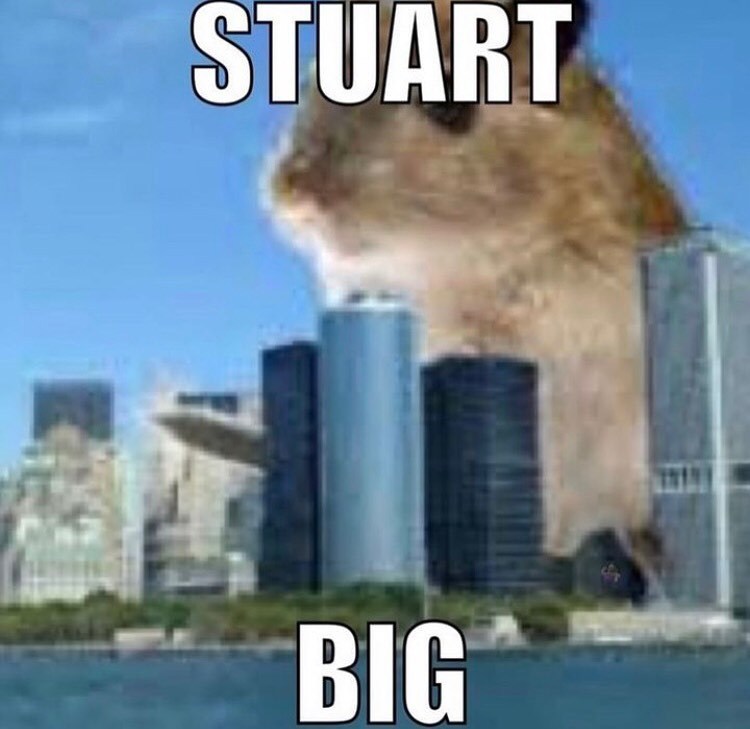 stuart_big