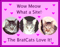a pink heart-covered page banner with 3 pics of cat's faces with the text "Wow Meow What A Site! The BratCats Love It!