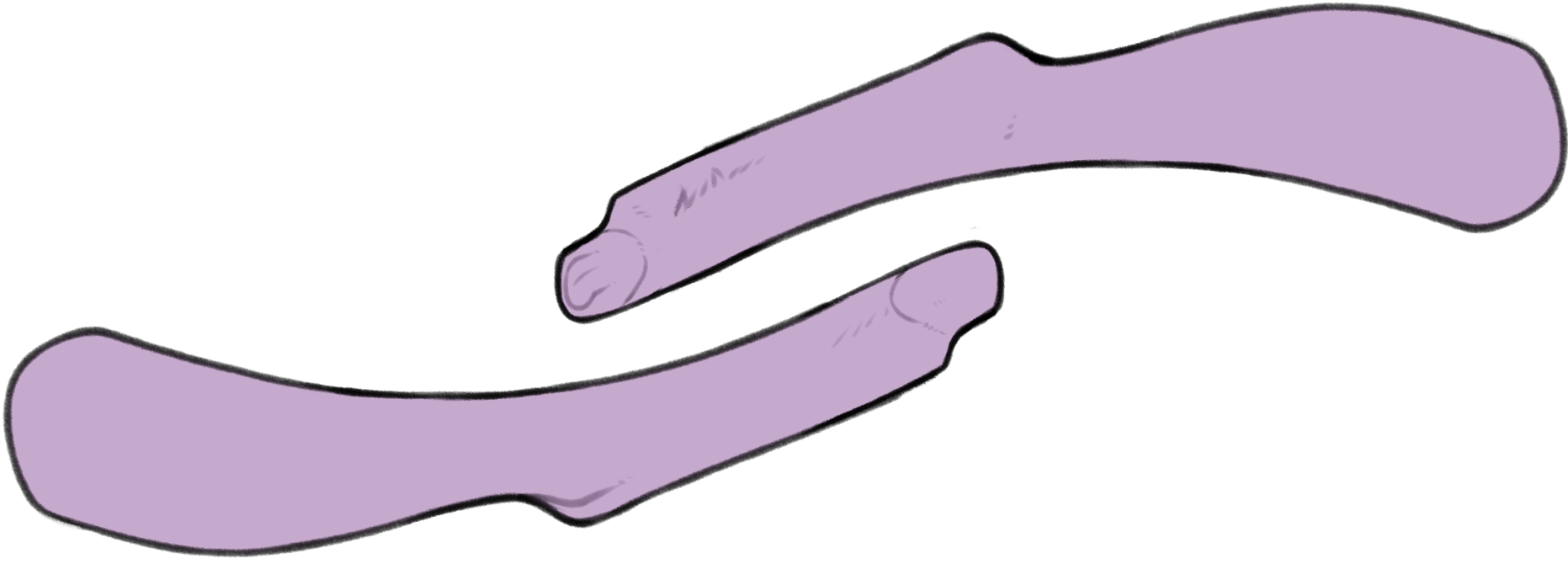 hoof.png