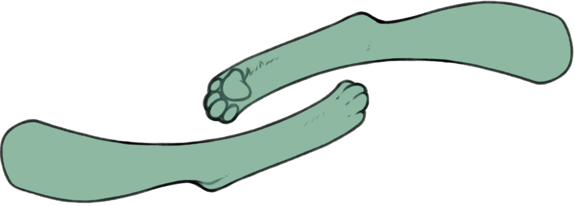 paws.png