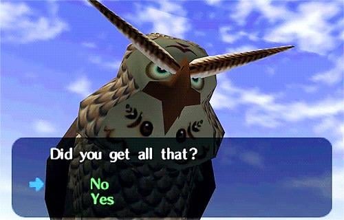 owl from Ocarina of Time asking Did you get all that
