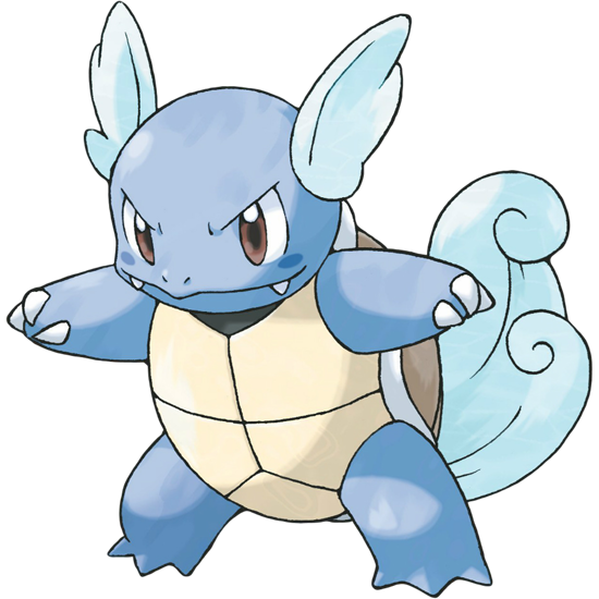 War... tortle never changes