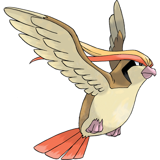 Birds that shout YU-GI-OHHHHHHH before a card game starts