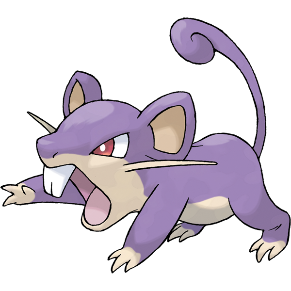 We pray at night, we stalk at night, we're the rats.
