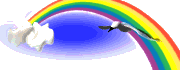 rainbow%20birds.gif