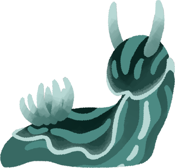 SeaSlug.png