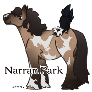 09_NarranParkheetext.png