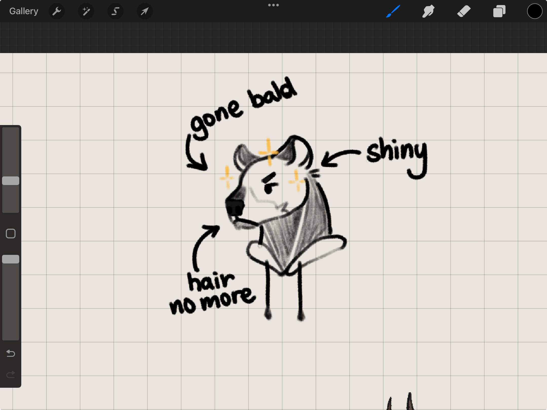 baldpatrick.jpeg
