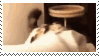 BITES.gif?v=1724704200546