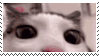blinks.gif?v=1724704166615