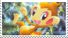 Chimchar5.png