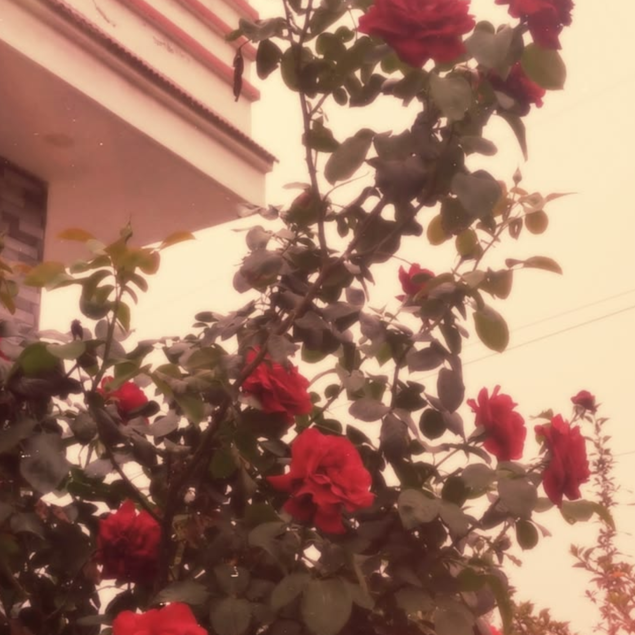 Untitled68_20260518021236.png