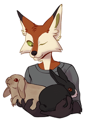 An anthropomorphic Ezo red fox in a grey t-shirt with facial palsy holding two pet rabbits. One is a Dutch rabbit and one is a Sable Point Holland Lop