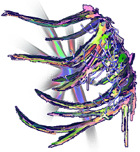 these are not bones, just all the things i thought you held dear