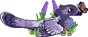 IMG_2619.png