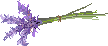 IMG_8259.png