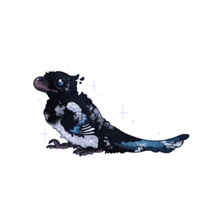 IMG_7013.png