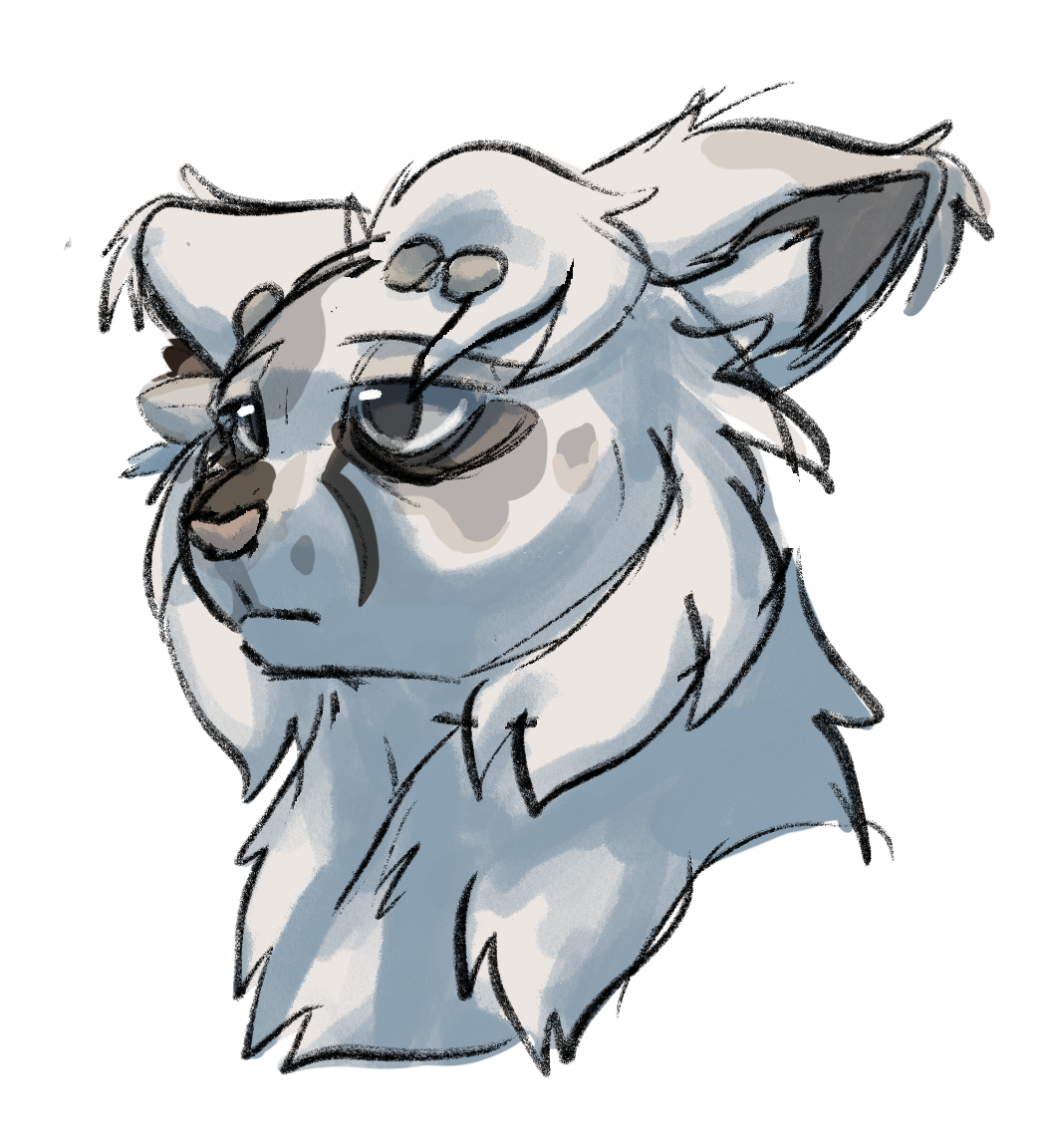 morel%20bust.png