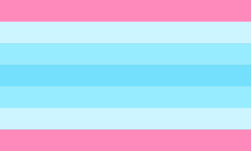 800px-Transmasculine_pride_flag.png