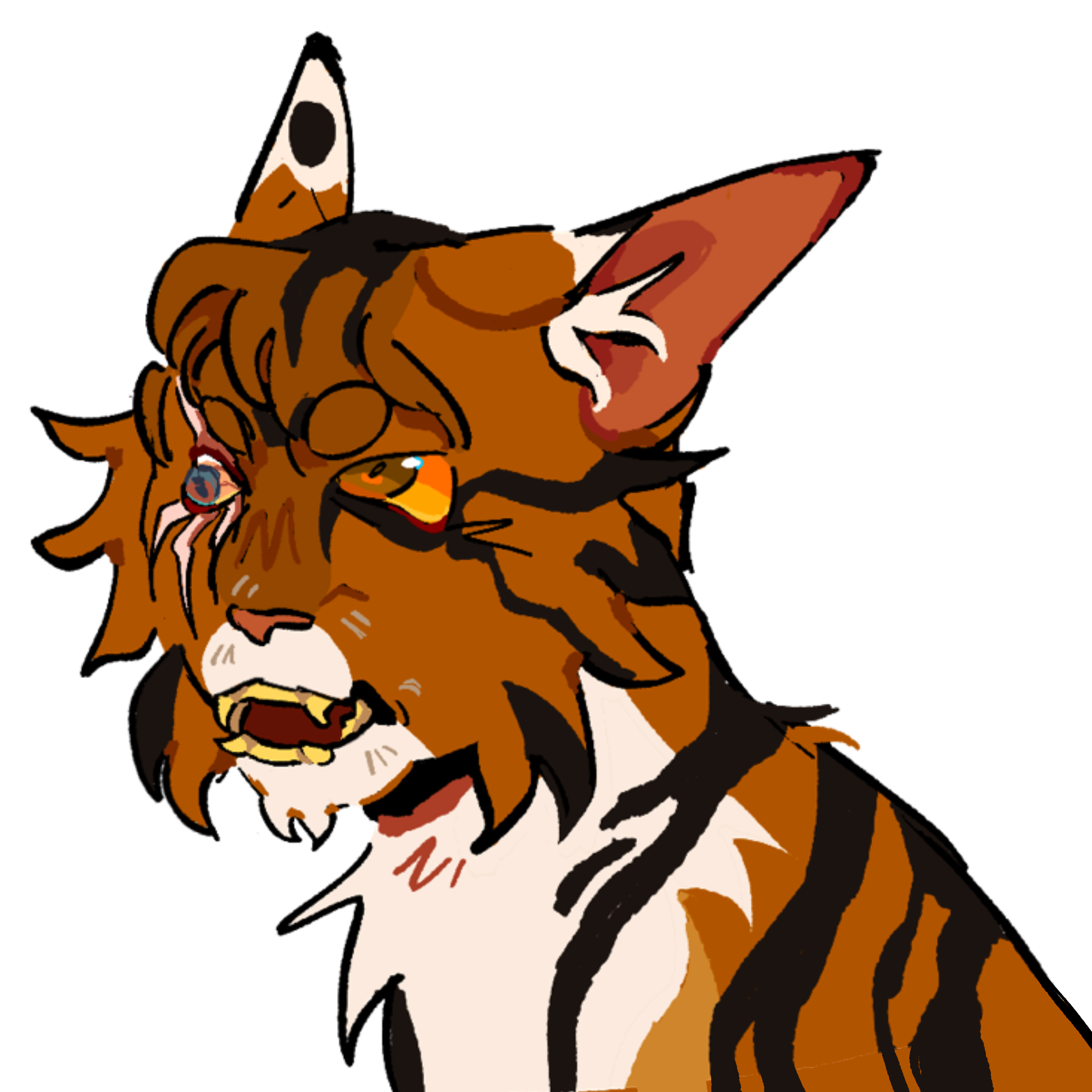 IMG_0594.png