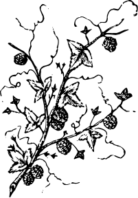 dbc432e2f8a08ddd353a209cddfce4fb.png