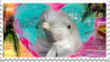 a stamp of a dolphin with a heart around it