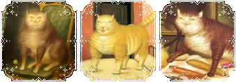 by%20spicycatz%202019-05-03.png