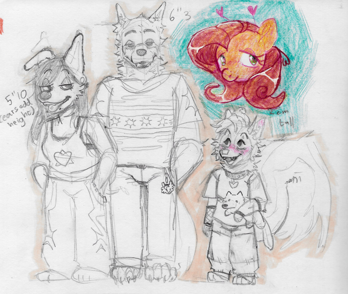 a sketch comparing the heights of billie, sterling and rose