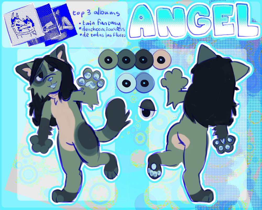 a reference sheet of an anthro feline