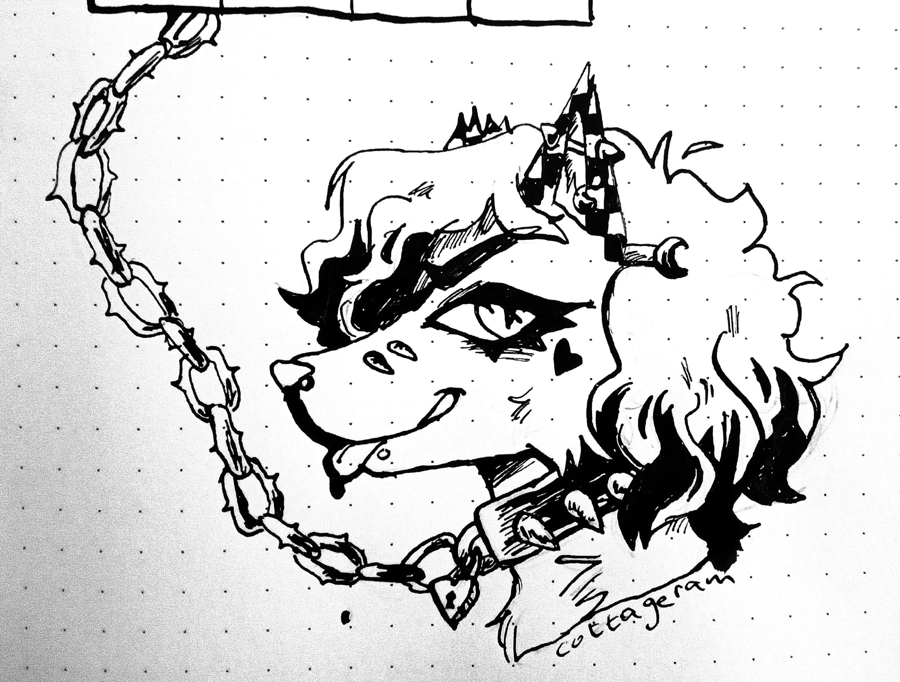 aima headshot