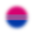 bisexual