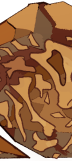 FOSSIL_DAY_2.png