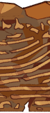 FOSSIL_DAY_4.png