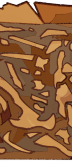 FOSSIL_DAY_6.png