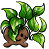 sss_plant.png