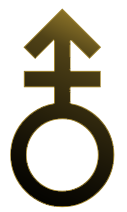 Androgyne Symbol