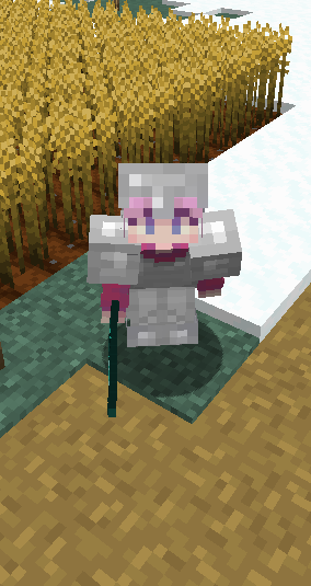 an image of my minecraft character