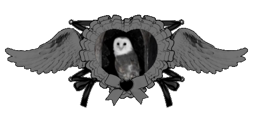 art by @peophonia on tumblr!