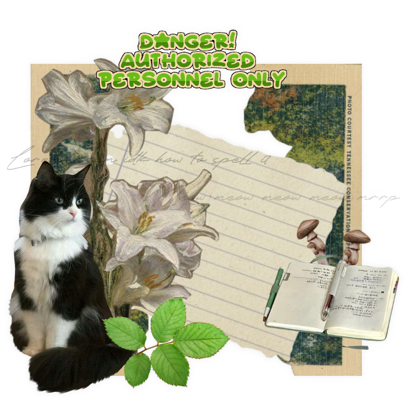 graphic by me, DO NOT REPOST