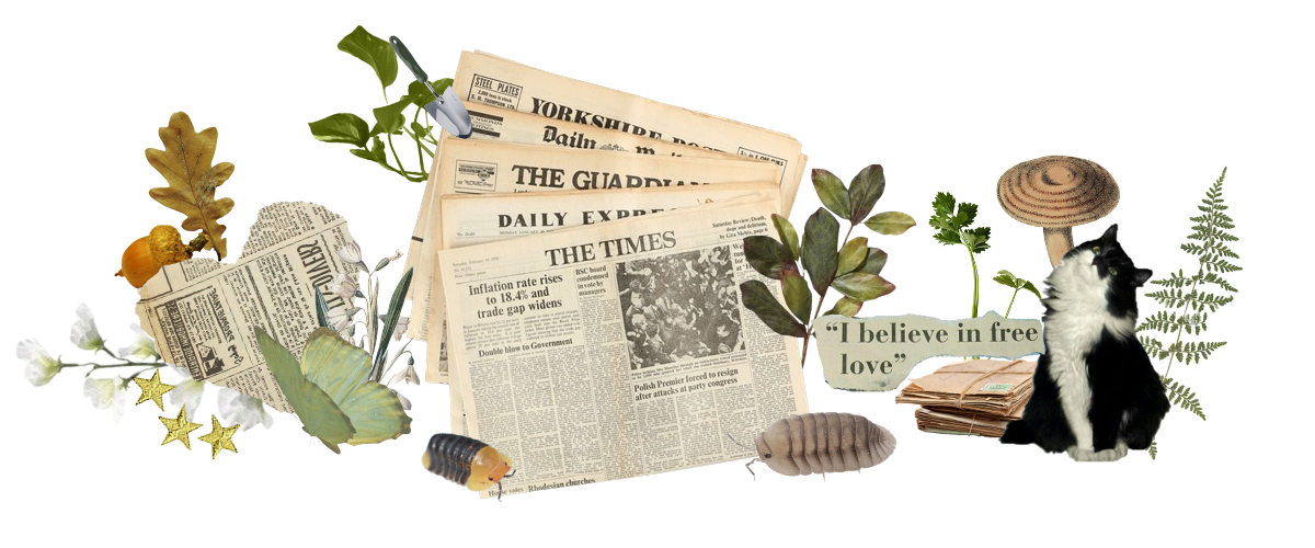 creds : sabokoshka , DO NOT DISTRIBUTE !