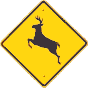 Watch for Deer!