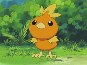 Torchic