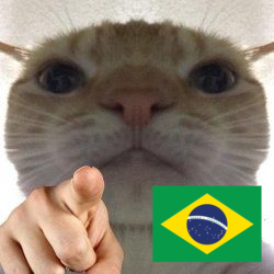 239%20Sem%20T%C3%ADtulo_20260607131023.p