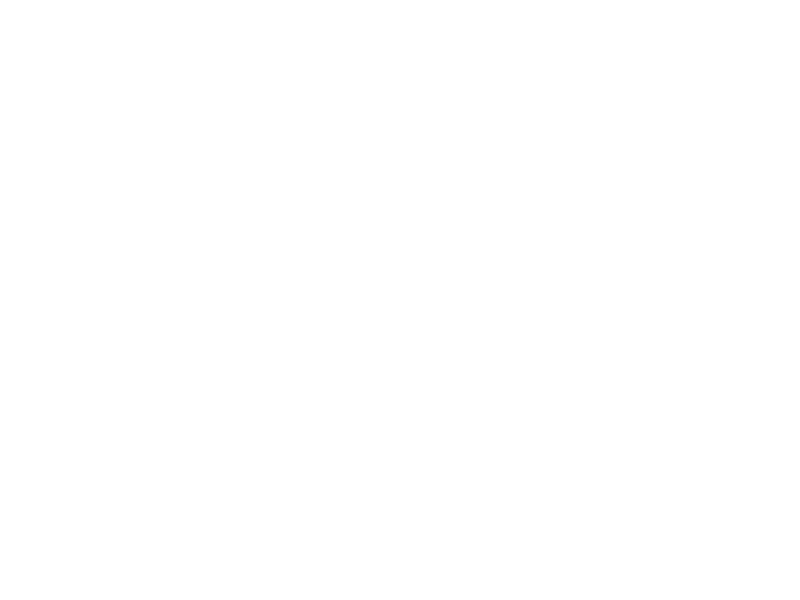 Previous