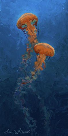 Jellyfish