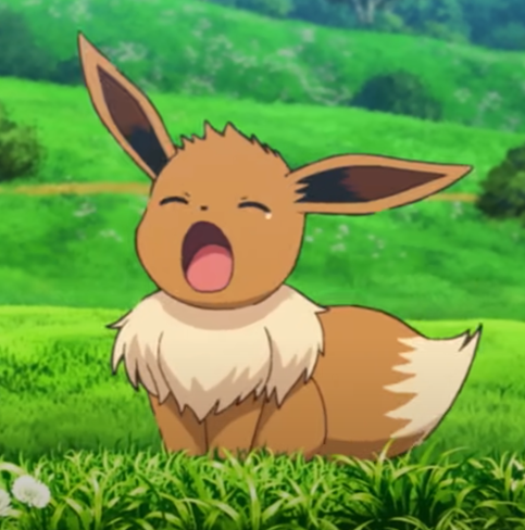 Mikey's Eevee