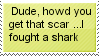 scar.gif