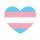 trans man