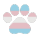 trans man