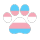 trans man